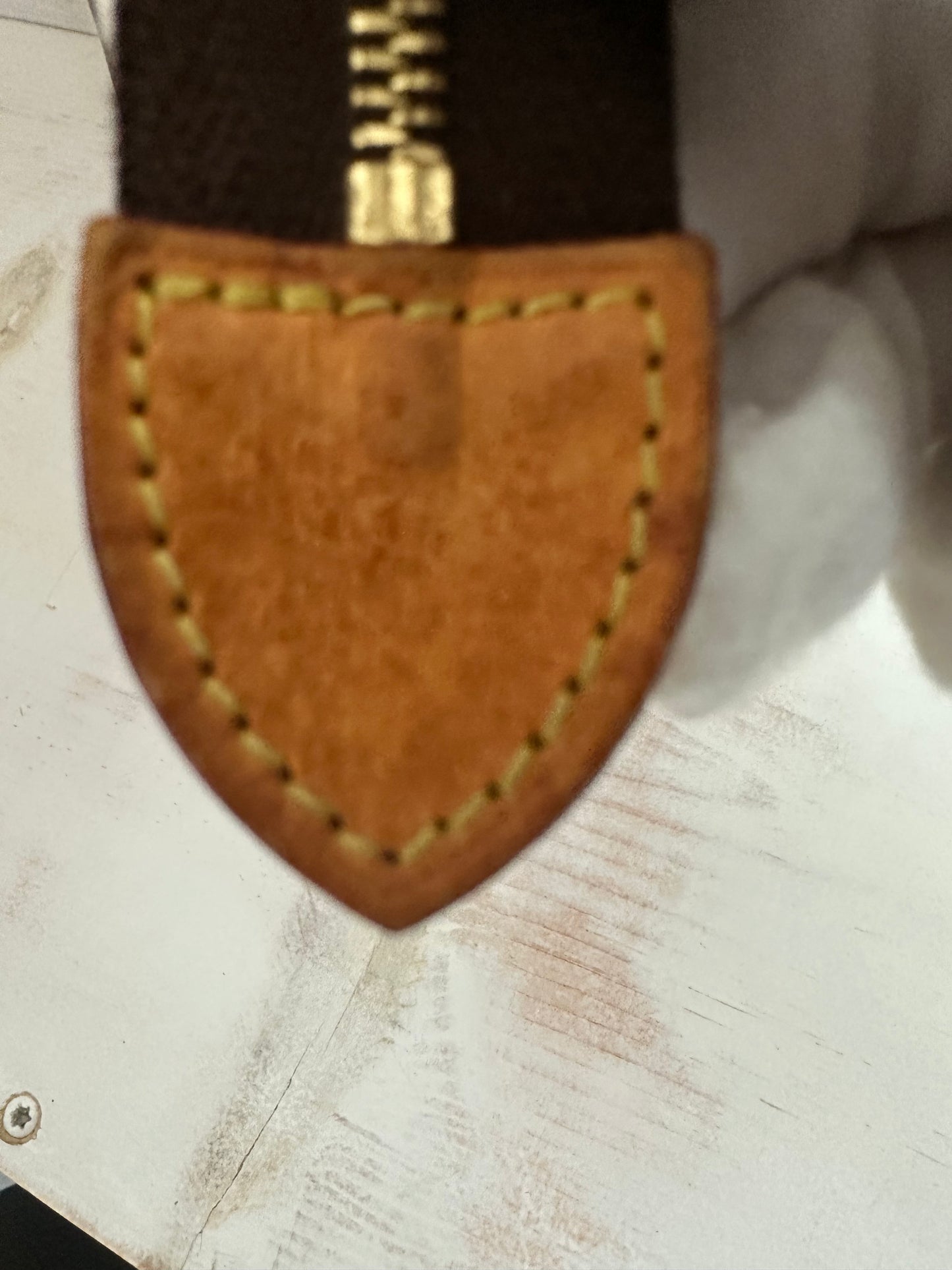Louis Vuitton Monogram Canvas Toiletry 19