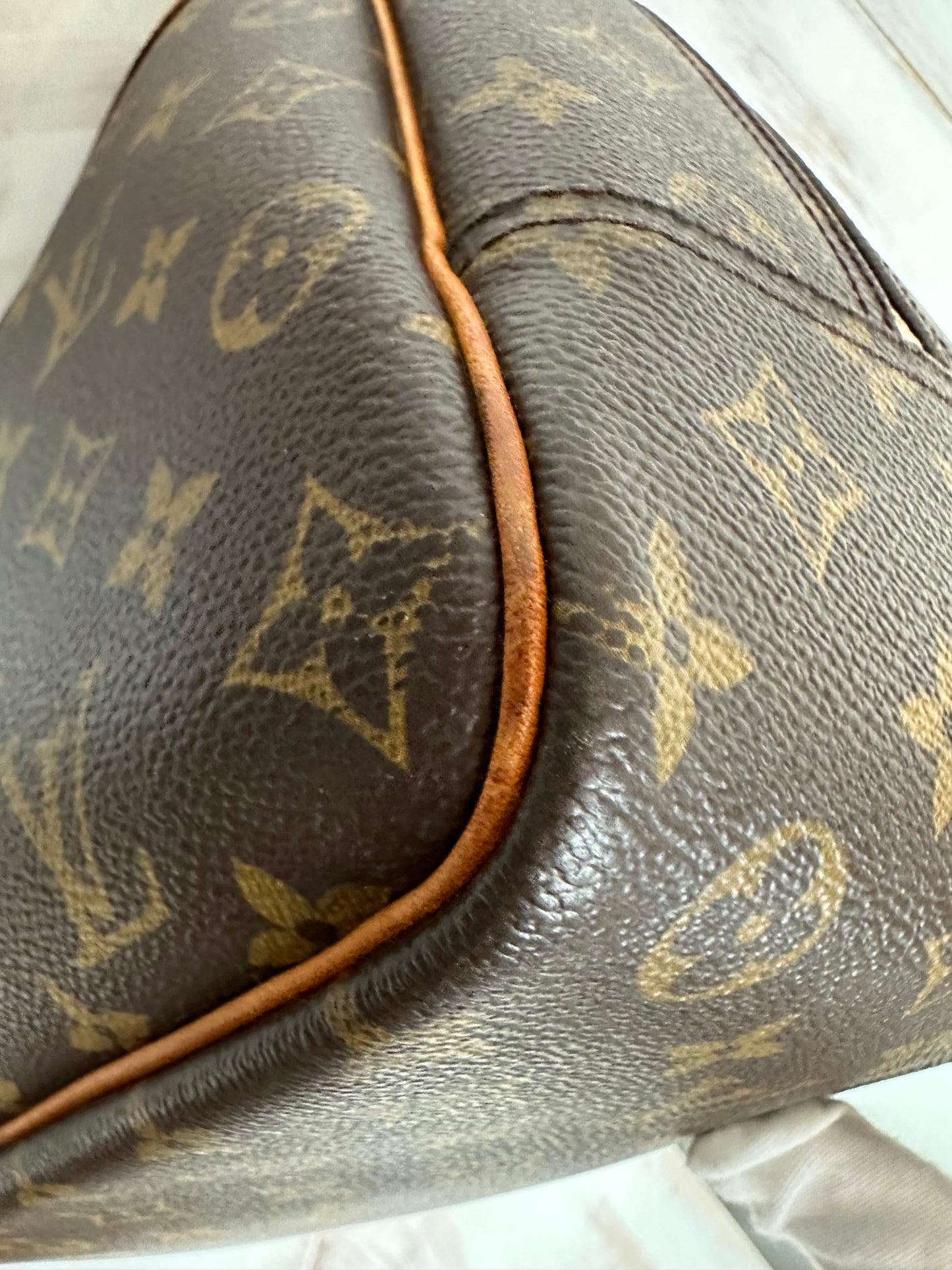 Louis Vuitton Monogram Deauville