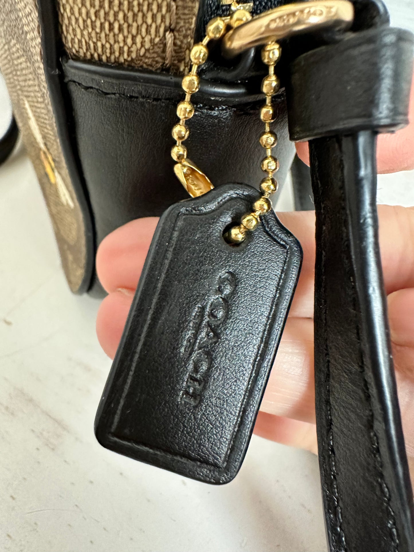 Coach Mini Camera Bag in Signature Canvas with Bee Print.