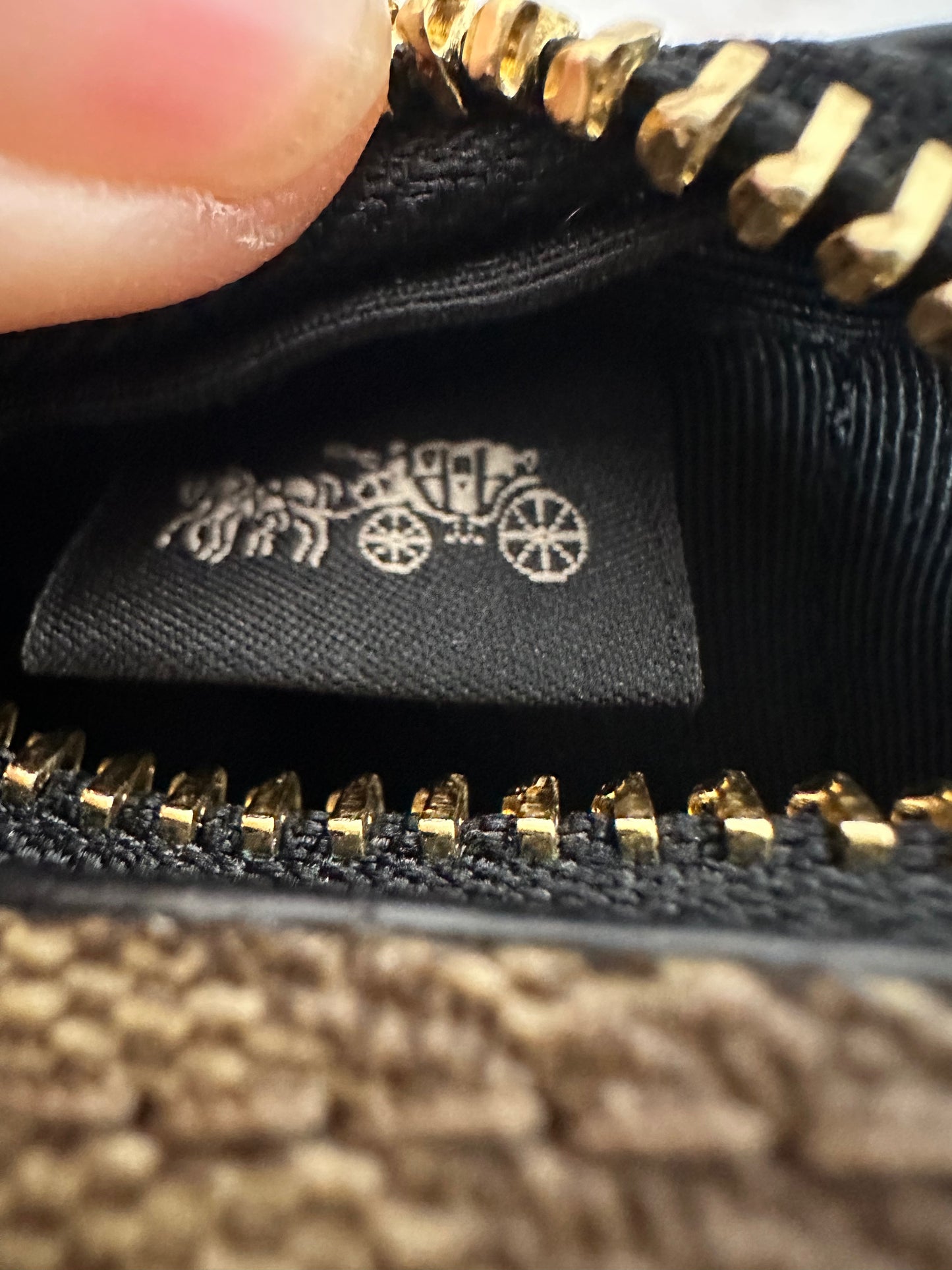 Coach Mini Camera Bag in Signature Canvas with Bee Print.