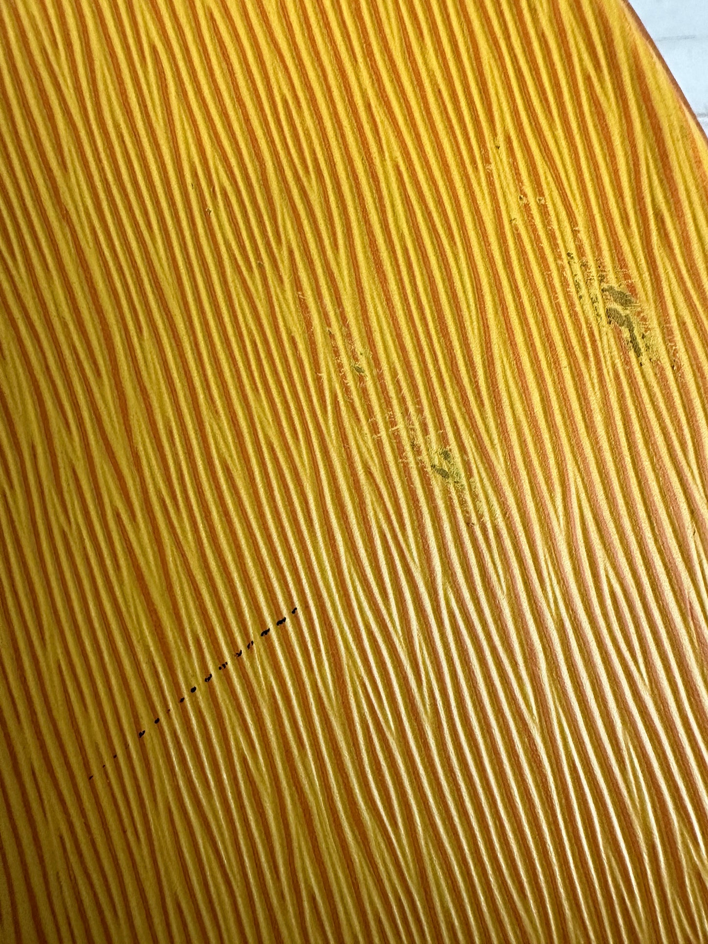 Louis Vuitton VINTAGE Yellow Epi St. Jacques GM