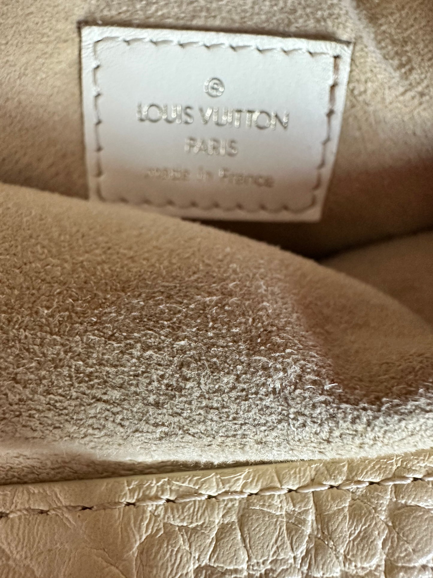 Louis Vuitton Mini Lin Trapeze GM